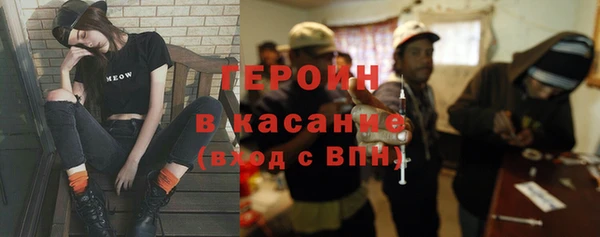 индика Арсеньев
