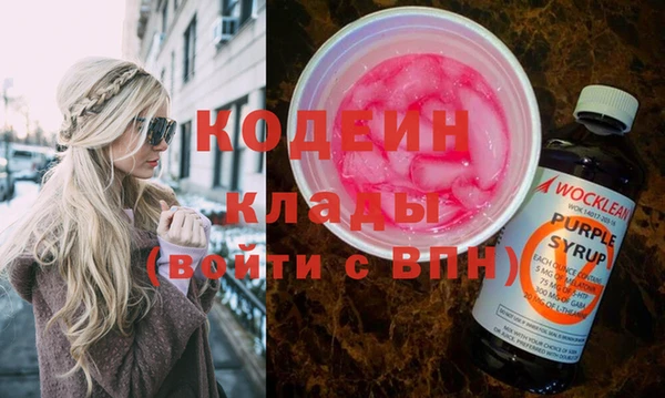 индика Арсеньев
