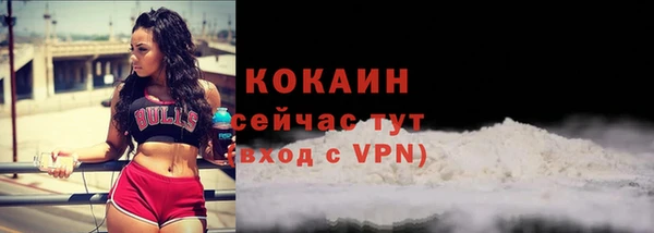 кокс Аркадак