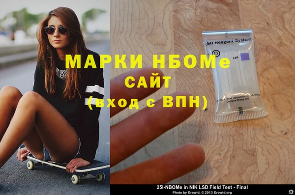 индика Арсеньев