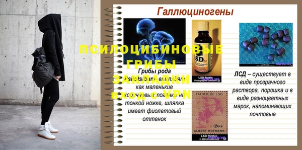 индика Арсеньев