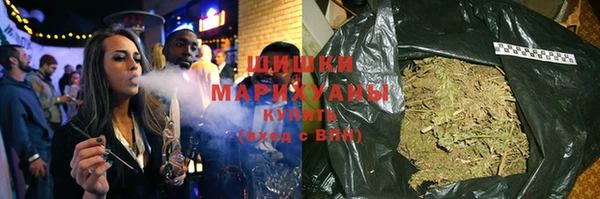 индика Арсеньев