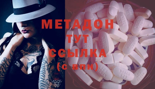 индика Арсеньев