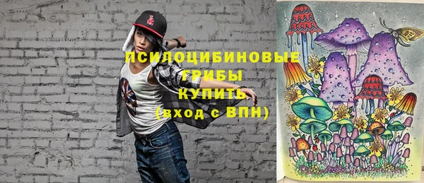 индика Арсеньев
