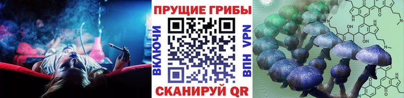 где продают   Стрежевой  Галлюциногенные грибы MAGIC MUSHROOMS 